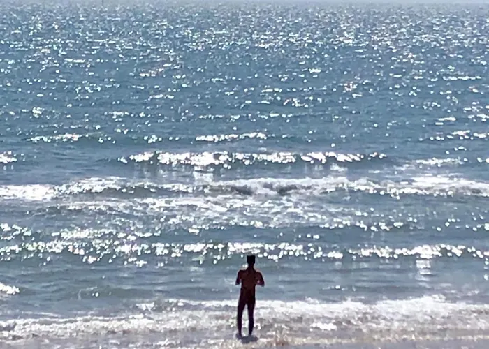 Dans La Pinede Prázdninový dům *